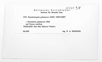 Image Associated With the Occurrence
